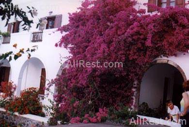 New Haroula Hotel 4